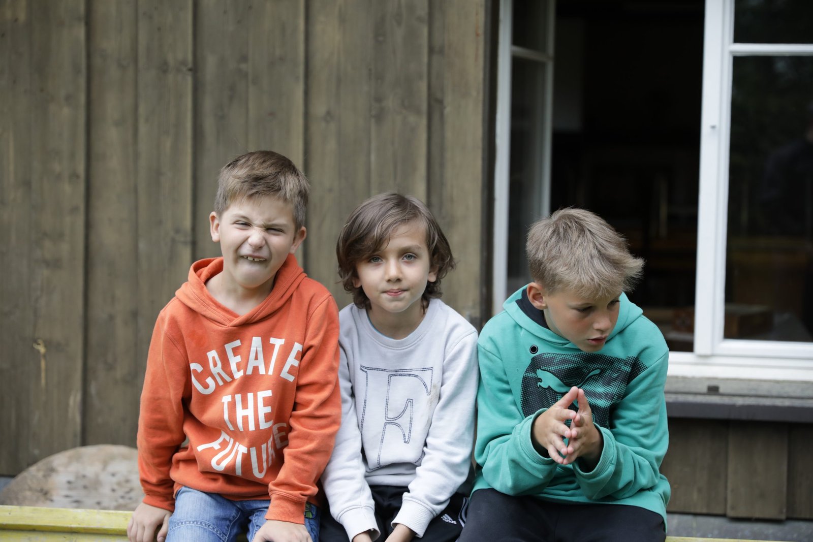 Wölfe beim Spielen